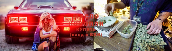ECSTASY Заводоуковск