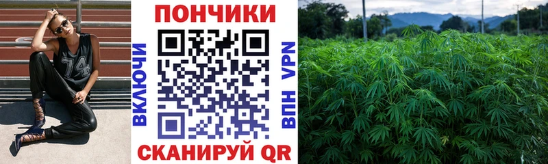 Купить где Светлоград Бошки Шишки White Widow